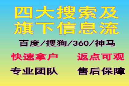 SEM广告投放的竞价策略与效果评估案例